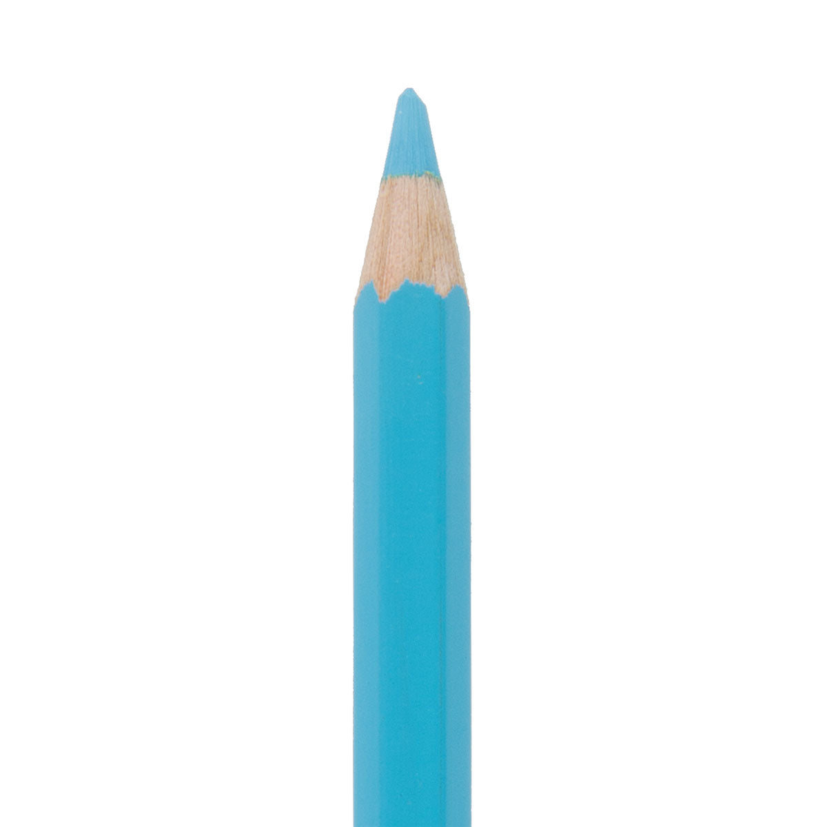 Caran d'Ache Sketcher Non-photo Blue Pencil 2-pack