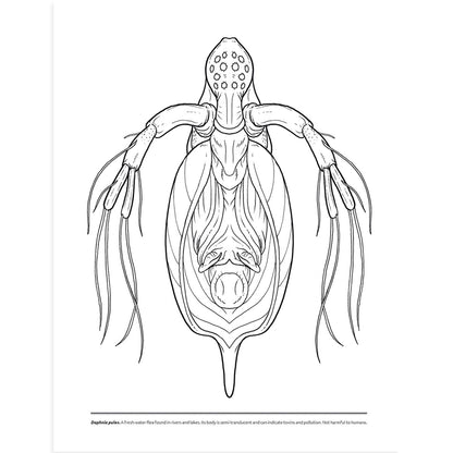 Microscopic Monsters Coloring Book