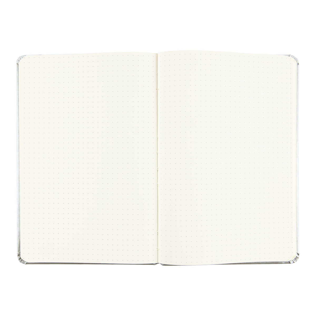 Rhodia Webnotebook DOT Silver A5, Dotted