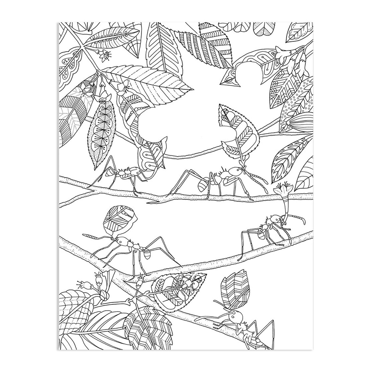 Wonderful Insects Coloring Book