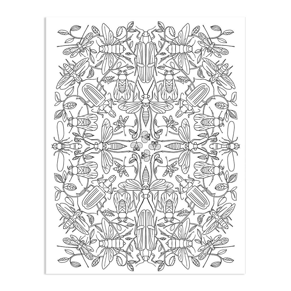 Wonderful Insects Coloring Book