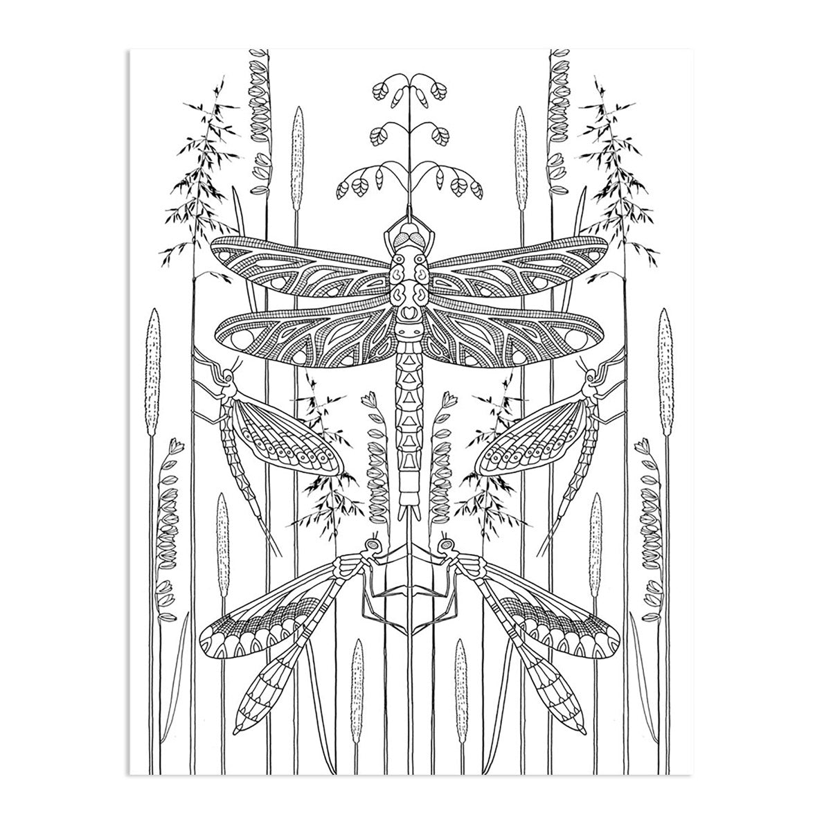 Wonderful Insects Coloring Book