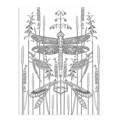 Wonderful Insects Coloring Book